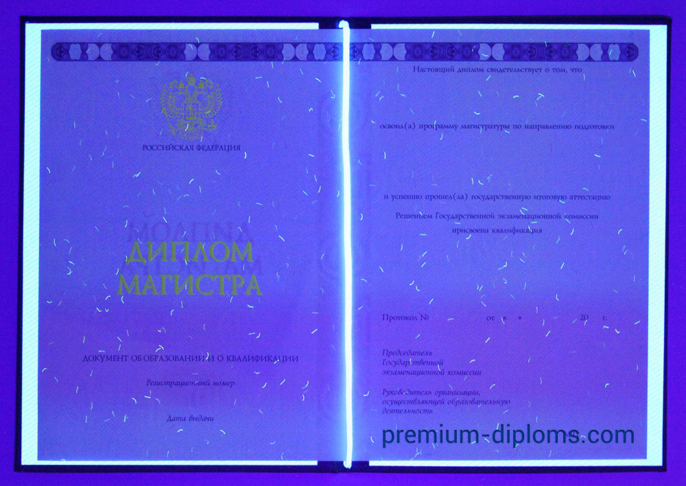 диплом магистра 2014-2019 год